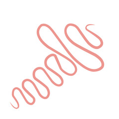 Pink Abstract Squiggle 