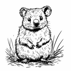 Obraz premium Cute Black And White Illustration of a Small Animal