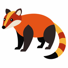 Obraz premium South American Coati vector illustration on a white background
