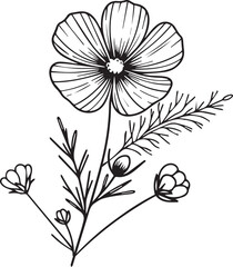 Birth flower Cosmos doodle bouquet of flower design for card or print. hand-painted Cosmos flower illustrations isolated on white backgrounds, engraved ink art floral coloring pages, a book for print