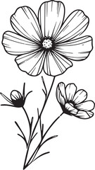 Cosmos flower vector elements summer collection, hand-painted Cosmos coloring pages, vector sketch, pencil art iris flower, vintage floral design wildflowers with coloring book for adults