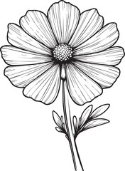 simple flower coloring pages, Coloring pages for adults, hand drawing iris flower sketch art of, blossom Cosmos flower line art vector illustration, floral garden for beautiful Cosmos flower