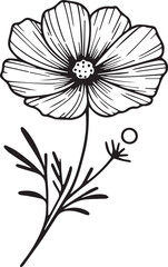 Minimilist cosmos tattoo drawings, cosmos flower coloring pages for kids, hand-drawn cosmos flowers, small cosmos flowers tattoo drawings, cosmos flower botanicla illustration