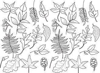 Motif feuilles d'automne sans couture lignes noires vecteur 