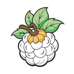 A cloudberry vector art illustration.