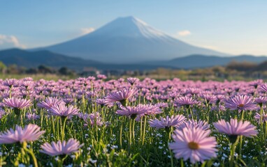 Fototapeta premium A field of delicate pink flowers blooms in the foreground with a mountain range in the distance.
