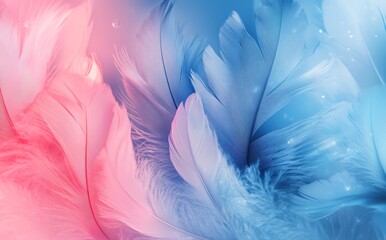 Obraz premium blue and pink feathers, abstract background