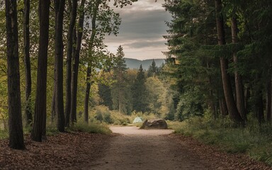 Obraz premium A dirt path leads through a forest to a tent nestled in the distance, with mountains in the background.