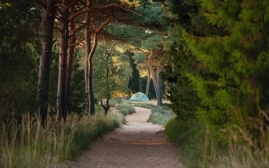 A winding path through a forest leads to a tent in the distance, bathed in golden sunlight.