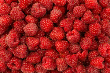 Tasty fresh raspberry as a background.