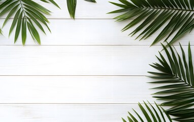 Obraz premium White Wooden Background with Palm Leaves Summer Theme
