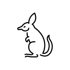 Australian bandicoot  black line illustration. Animals of Australia.