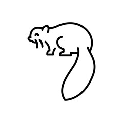 Australian flying squirrel black line illustration. Animals of Australia.