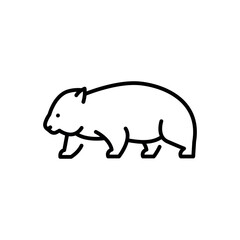 Australian wombat black line illustration. Animals of Australia.