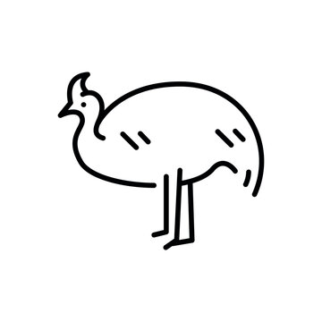 recommend clip art: Australian cassowary black line illustration. Animals of Australia.