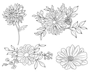 Fall botanical flower line drawing vector illustration set, hand drawn autumn flower bouquets