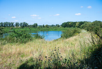 Pond at a nature reserve in Oreye, Wallonia, Belgium