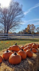 An autumn photo of pumpkins on hay bales in front of a white wooden fence, with a blue sky and a tree in the background