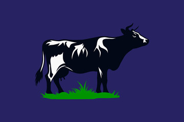 black and white cow