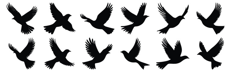 Bird silhouettes set, flying pack of vector silhouette design, isolated background.