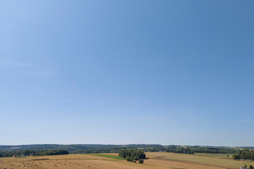 Obraz premium A panoramic view of a vast golden field under a clear blue sky, showcasing the beauty of nature and agricultural landscapes.