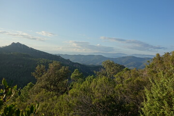 Fototapeta premium GR51