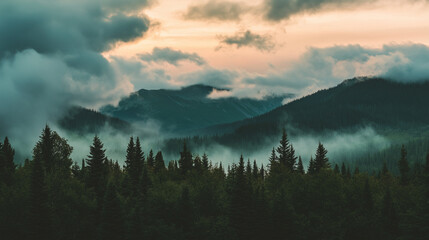 Misty mountain landscape with dark pine trees in the foreground, as clouds roll over the hills at dawn, creating a serene and mystical atmosphere