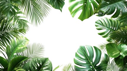 Lush Green Tropical Leaves Framing a White Background