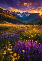 Obraz premium breathtaking vibrant sunrise illuminating untamed fields surrounded majestic mountains under open sky, landscape, nature, sunlight, horizon, clouds, light