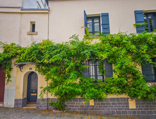 Montmartre, Paris. View of old street with cozy cityscape of Paris in summer with plants on buildings. Architecture and landmarks of Paris.