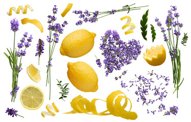 lemon and lavender collection - ready to use premium PNG cutout isolated image