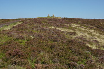 Obraz premium Pinhaw Beacon Trig Point on the Pennine Way with the Heather in Bloom, Elslack Moor near Lothersdale, North Yorkshire. England, UK