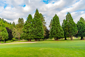 Landscape of meadow at park. Summer park zone nature. Scenic landscape of woodland. Public park. Nature of forest. Trail path in woods. Green forest wood landscape in summer. Nature of mixed forest