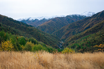 A scenic view of green and brown mountains stretching towards snow-capped peaks in Ushguli, Georgia. This image can illustrate the breathtaking beauty and untouched wilderness of the Svaneti region.