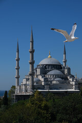 Fototapeta premium istambul panoramica cidade mesquita turquia ave
