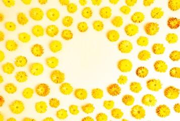 Round frame made of yellow chrysanthemum flowers on a light yellow, beige background. Fall concept. Floral pattern.