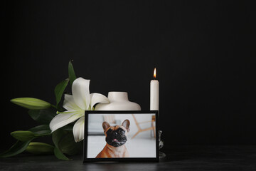 Frame with picture of dog, lily flowers and burning candle on dark background. Pet funeral