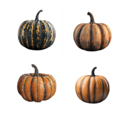 Isolated set of selected pumpkins. PNG clipart for halloween cards, thanksgiving, decoration and sticker printing