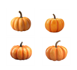 Isolated set of selected pumpkins. PNG clipart for halloween cards, thanksgiving, decoration and sticker printing