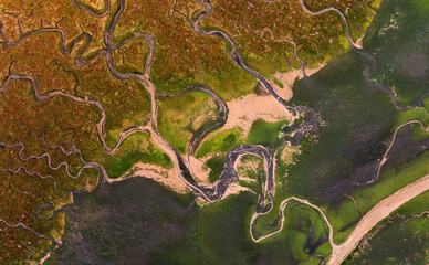 Dublin North Bull Island
Nature Reserve is a coastal sand spit located in Dublin Bay located in Dublin Bay lying roughly parallel to the shore off Clontarf Dollymount, Raheny, Kilbarrack, ireland