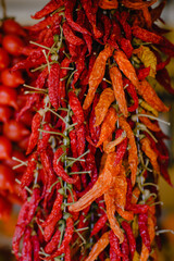 Dried peppers and tomatoes texture, vegetables. Autumn. Harvest