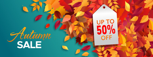 Autumn Sale leaves concept  illustration vector banner