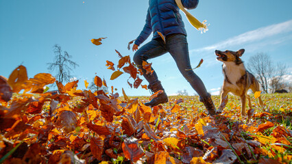 CLOSE UP: Joyful young woman and her cute mixed breed puppy run across the meadow full of fallen leaves. Unrecognizable female hiker and her adorable dog run across the field on a sunny autumn day. © helivideo