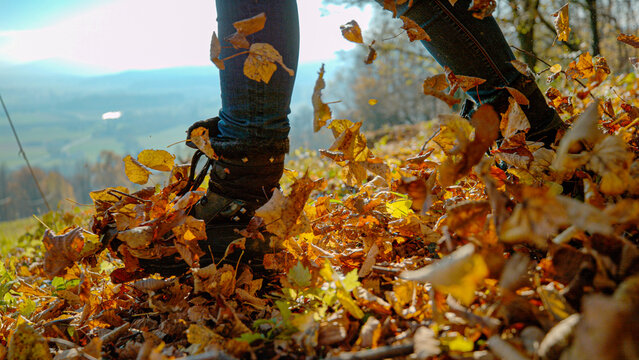 CLOSE UP: Unrecognizable woman wearing boots kicks up the autumn fallen leaves during a relaxing hike in the colorful countryside. Young female hiker walks across a pile of turning leaves on sunny day