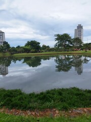 Fototapeta premium Central park with a large lake with green grasses and trees and background buildings