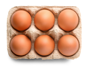 eggs in carton top view