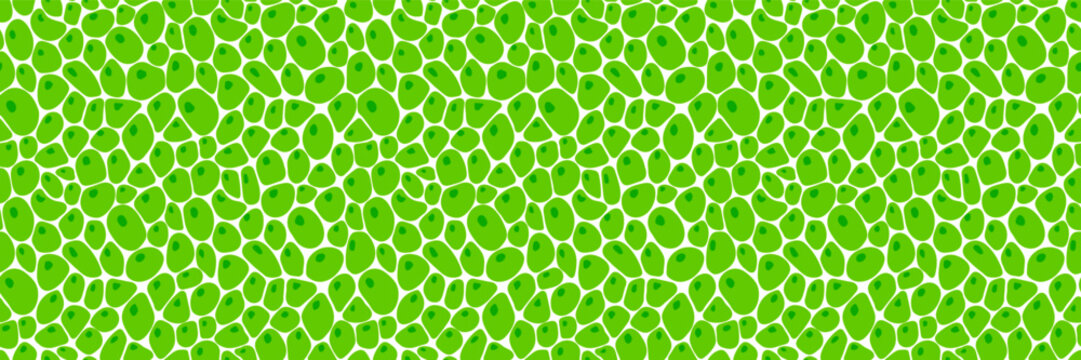 Green cells seamless patterns set. Leaf structure vector illustration. Fresh greenery template background. Plant repeated texture for organic, eco, agro and scientific designs. voronoi endless backdro