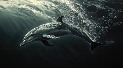 Fototapeta premium A dolphin diving gracefully beneath the waves, with a shimmering trail of bubbles following behind, emphasizing the elegance of its movements.