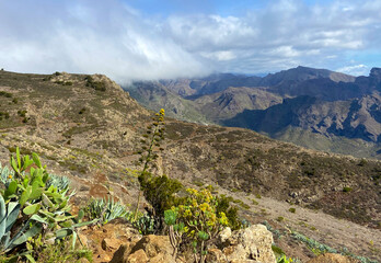 Beautiful view of Teno Alto volcanic landscape with Agave americana or Century plants growing wild in Tenerife,Canary Islands, Spain.Travel concept,4k