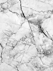 Obraz premium Marble-Textured Background Image
